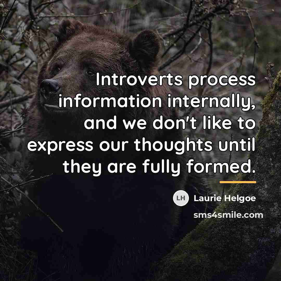 “Introverts process information internally, and we don't like to express…” quote by Laurie Helgoe