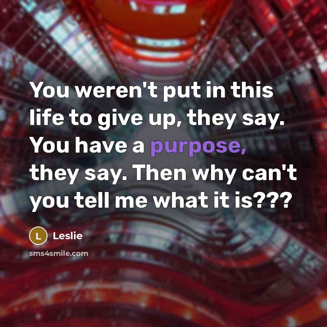 “You weren't put in this life to give up, they…” quote by Leslie