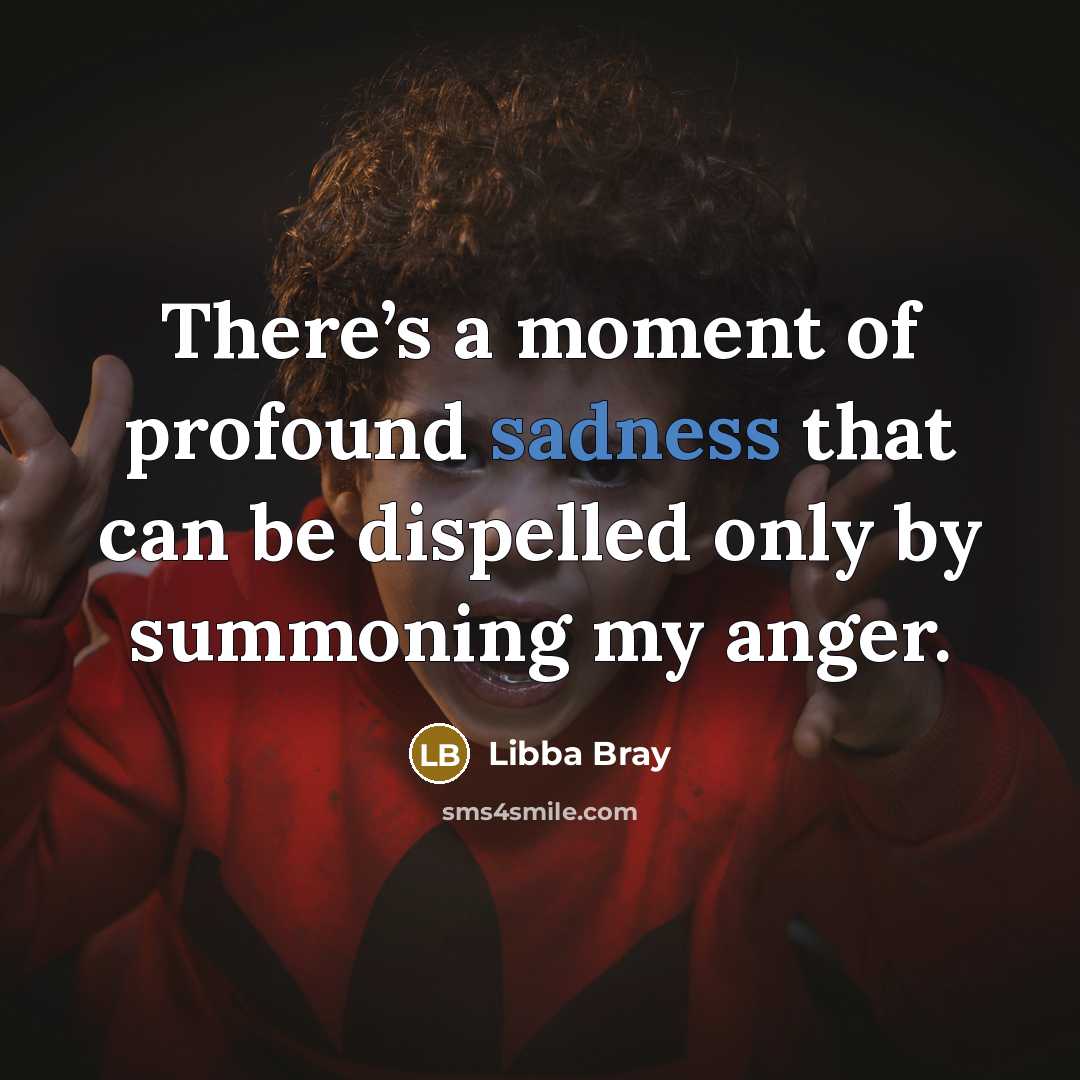 “There’s a moment of profound sadness that can be dispelled…” quote by Libba Bray