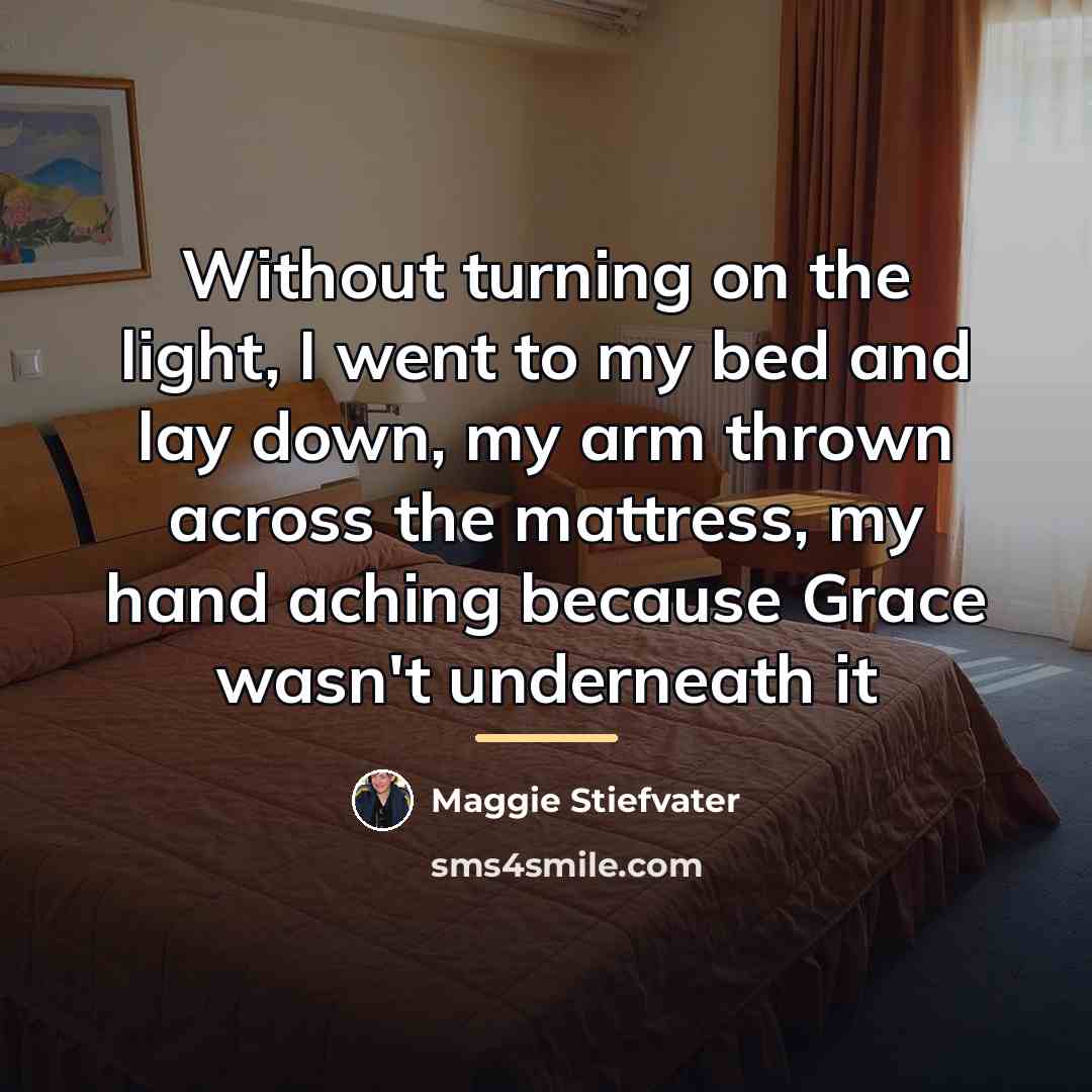 “Without turning on the light, I went to my bed…” quote by Maggie Stiefvater