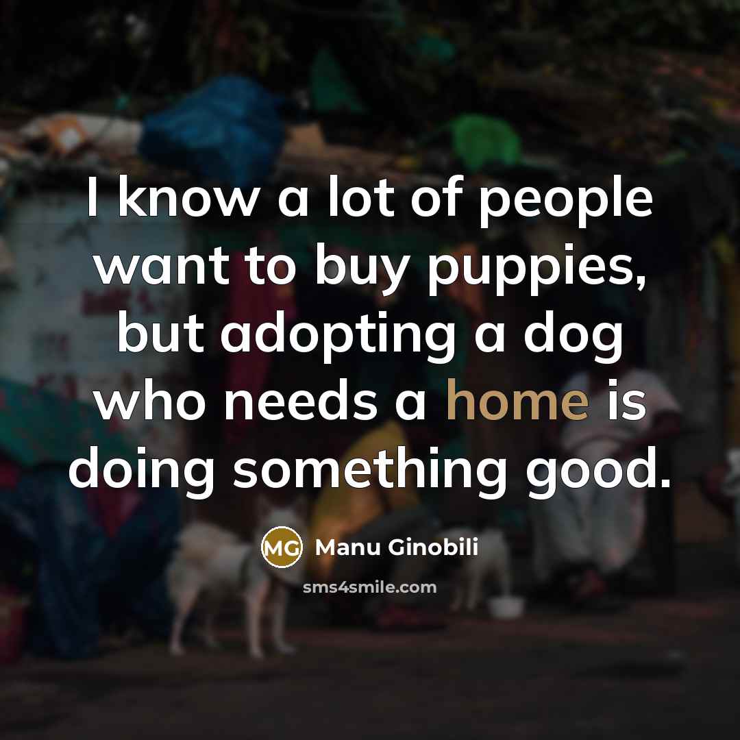 “I know a lot of people want to buy puppies,…” quote by Manu Ginobili