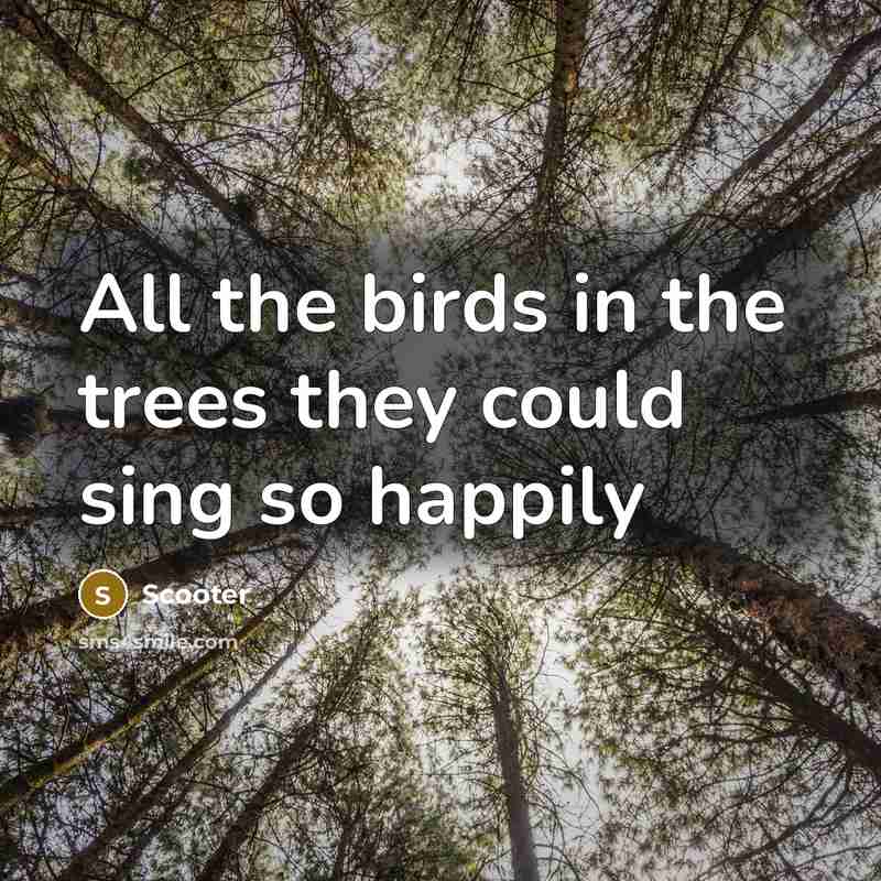 “All the birds in the trees they could sing so…” quote by Scooter