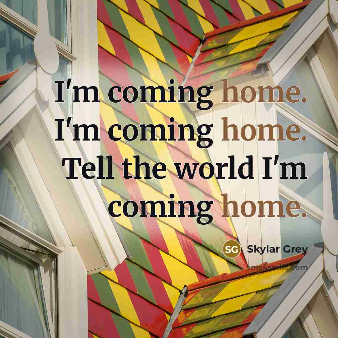 “I'm coming home. I'm coming home. Tell the world I'm…” quote by Skylar Grey