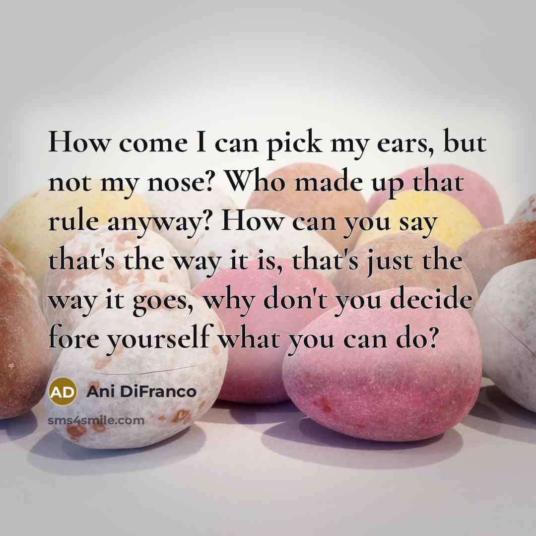 “How come I can pick my ears, but not my…” quote by Ani DiFranco