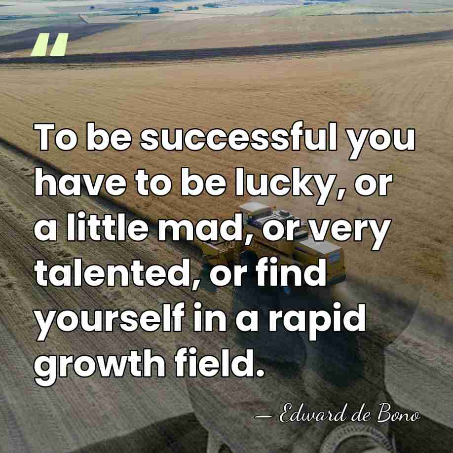 To be successful you have to be lucky, or a little mad,&hellip; - Edward de Bono
