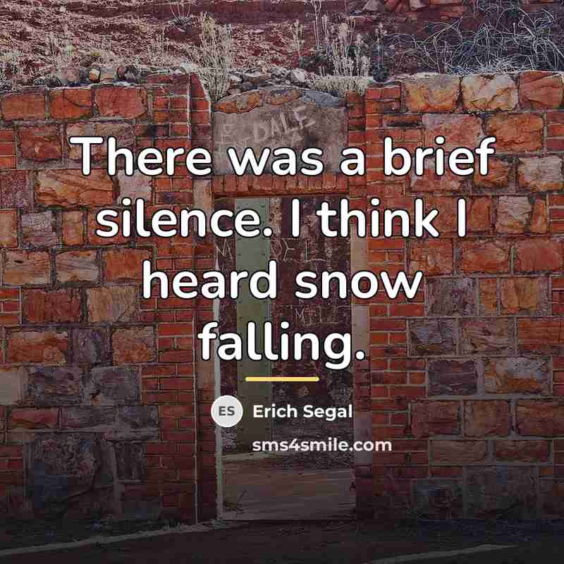 “There was a brief silence. I think I heard snow…” quote by Erich Segal