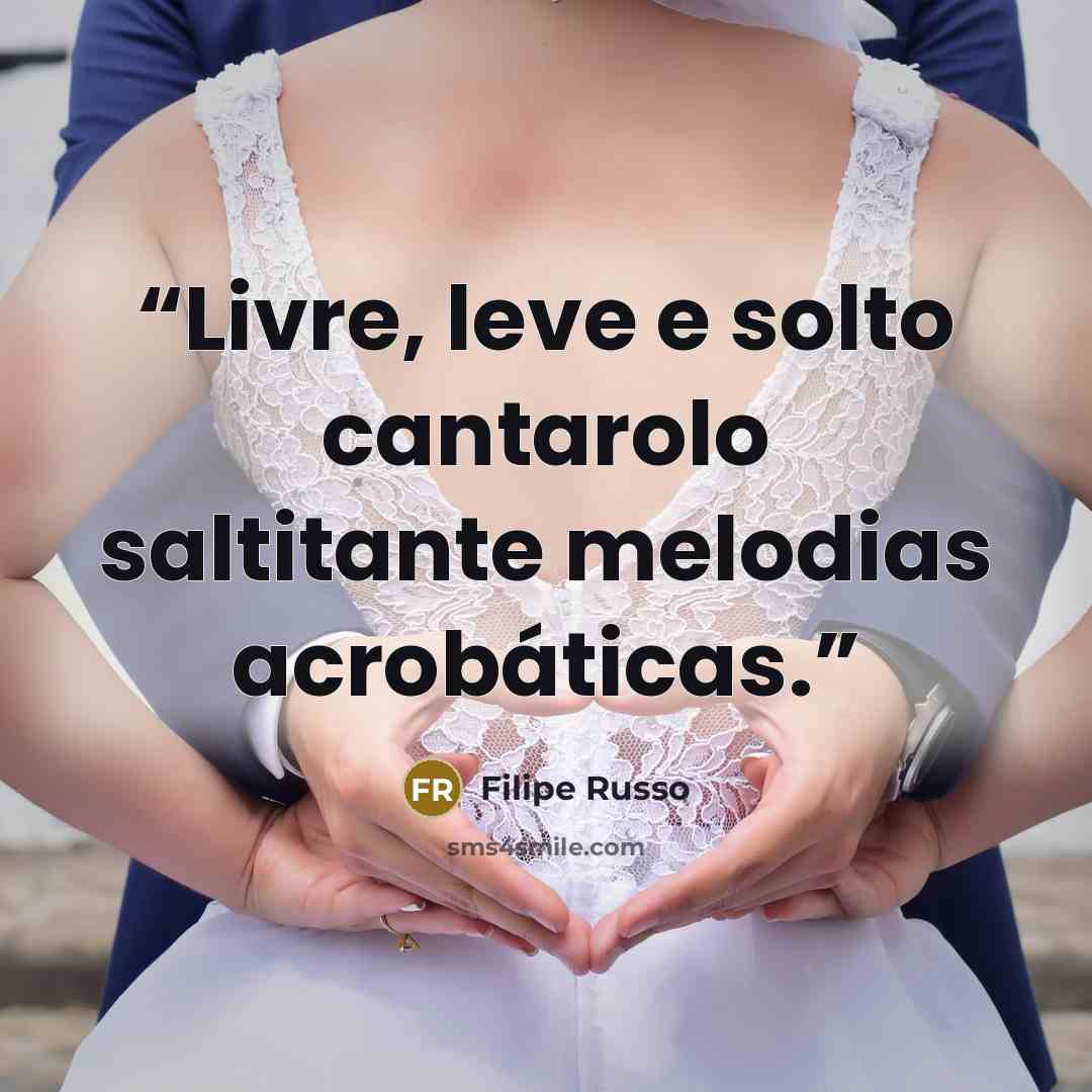 “Livre, leve e solto cantarolo saltitante melodias acrobáticas.” quote by Filipe Russo