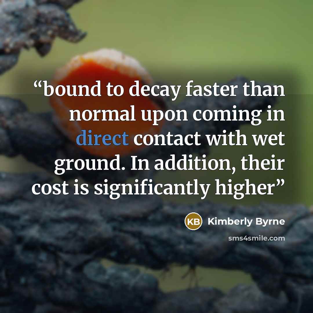 “bound to decay faster than normal upon coming in direct contact with wet ground. In addition, their cost is significantly higher” quote by Kimberly Byrne