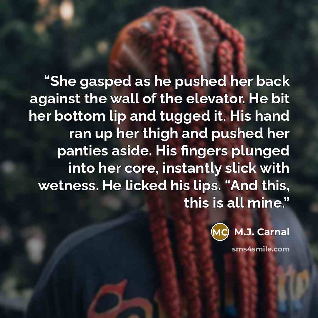 “She gasped as he pushed her back against the wall of the elevator. He bit her bottom lip and tugged it. His hand ran up her thigh and pushed her panties aside. His fingers plunged into her core, instantly slick with wetness. He licked his lips. “And this, this is all mine.” quote by M.J. Carnal