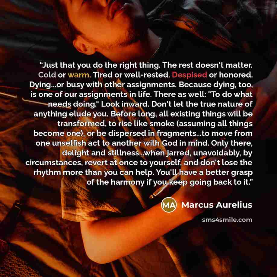 “Just that you do the right thing. The rest doesn't matter. Cold or warm. Tired or well-rested. Despised or honored. Dying...or busy with other assignments. Because dying, too, is one of our assignments in life. There as well: "To do what needs doing." Look inward. Don't let the true nature of…” quote by Marcus Aurelius