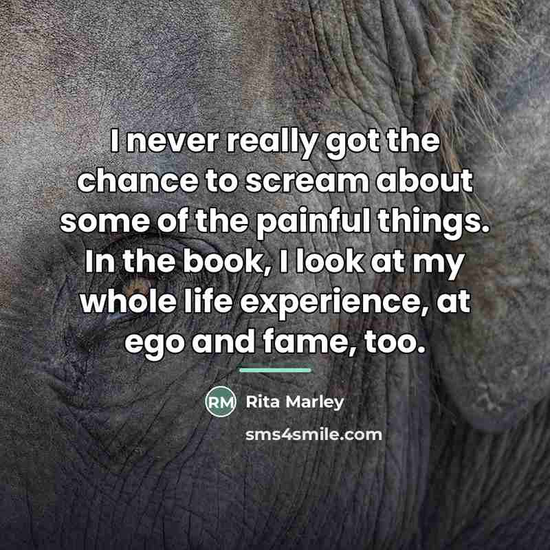 “I never really got the chance to scream about some…” quote by Rita Marley
