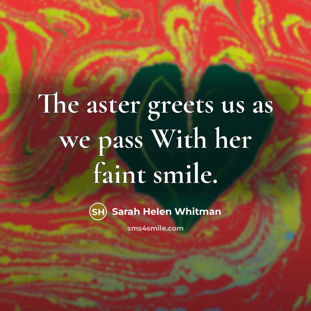 “The aster greets us as we pass With her faint…” quote by Sarah Helen Whitman