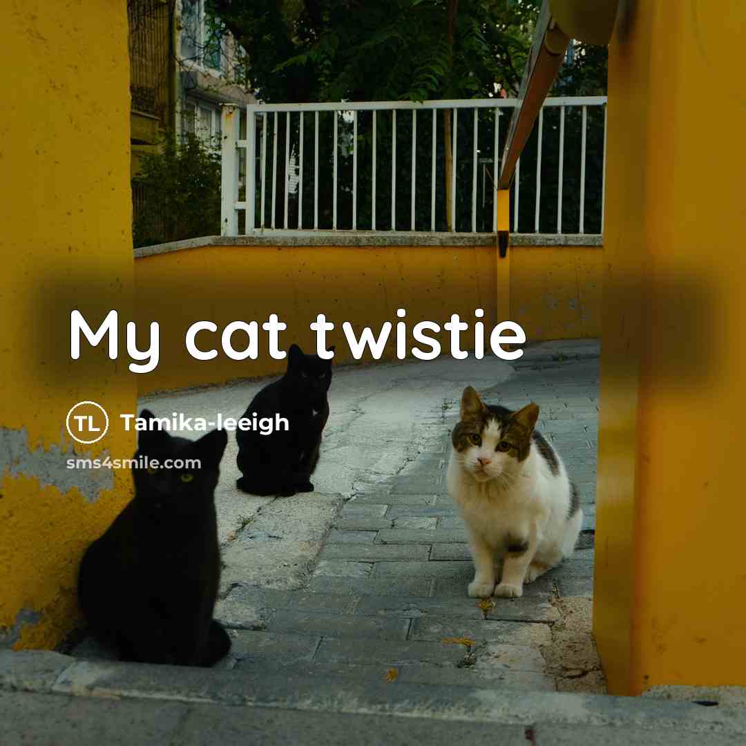 “My cat twistie…” quote by Tamika-leeigh