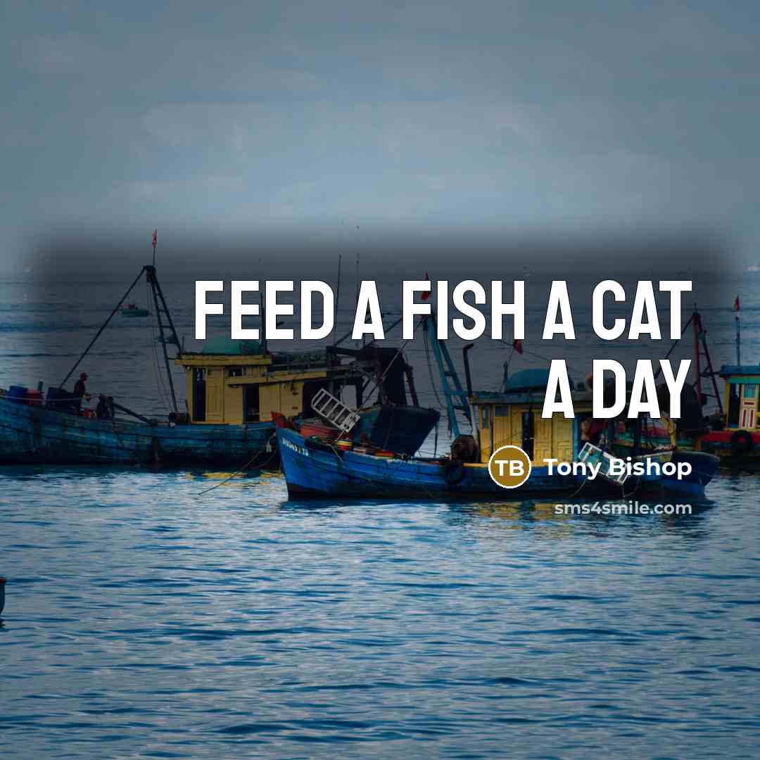 “Feed a fish a cat a day…” quote by Tony Bishop