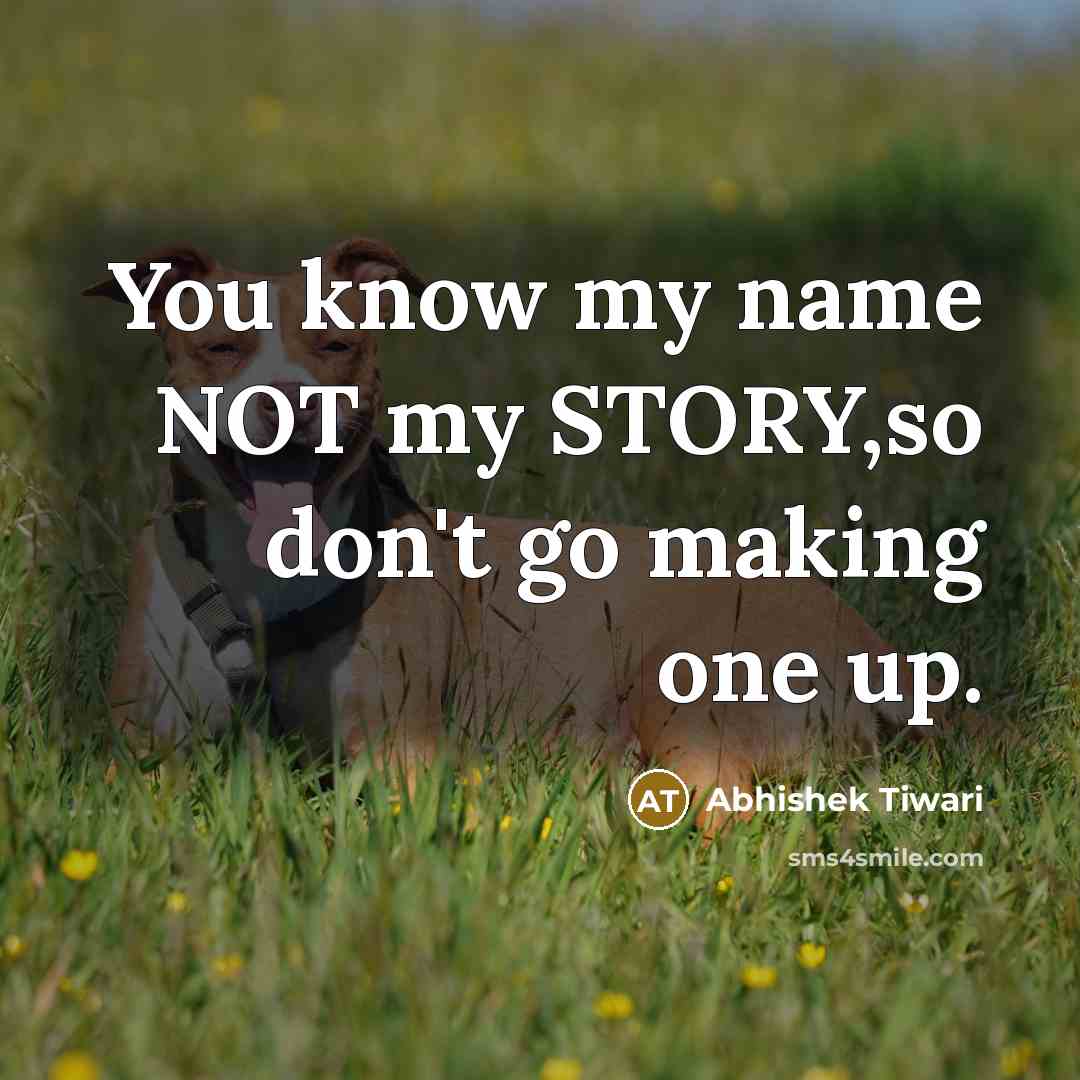 “You know my name NOT my STORY,so don't go making…” quote by Abhishek Tiwari