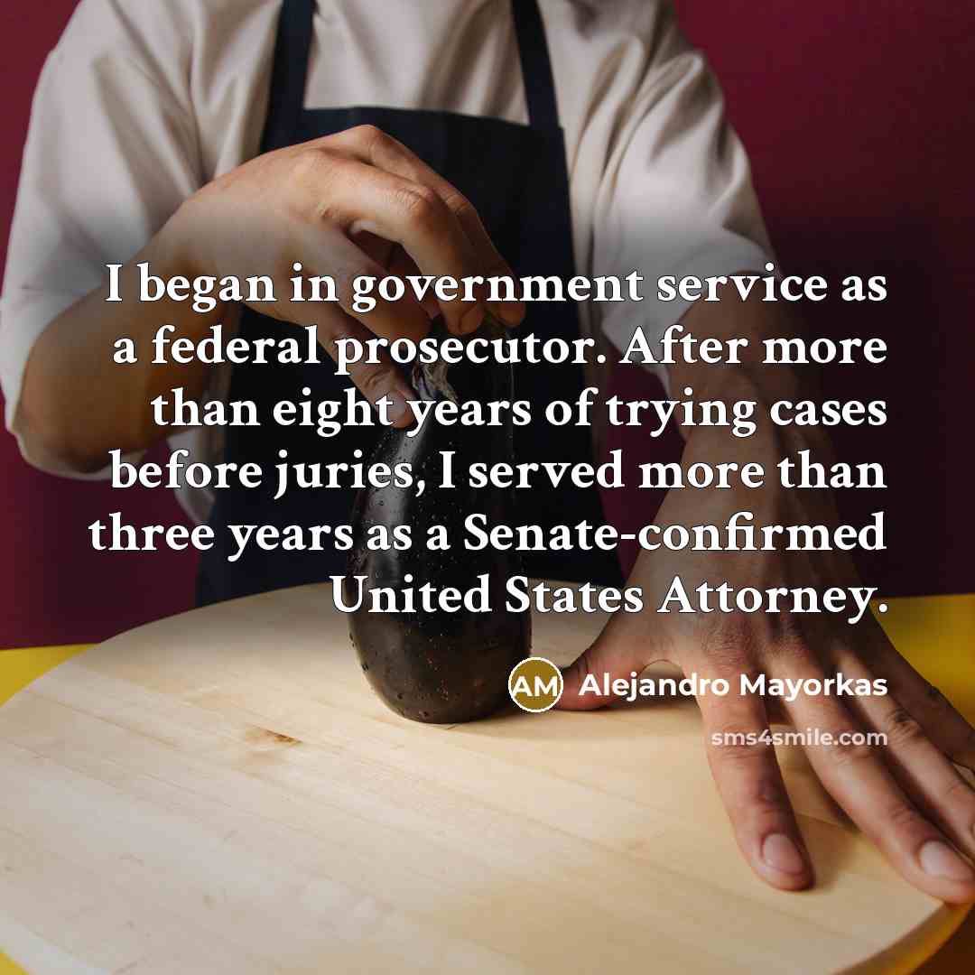 “I began in government service as a federal prosecutor. After…” quote by Alejandro Mayorkas