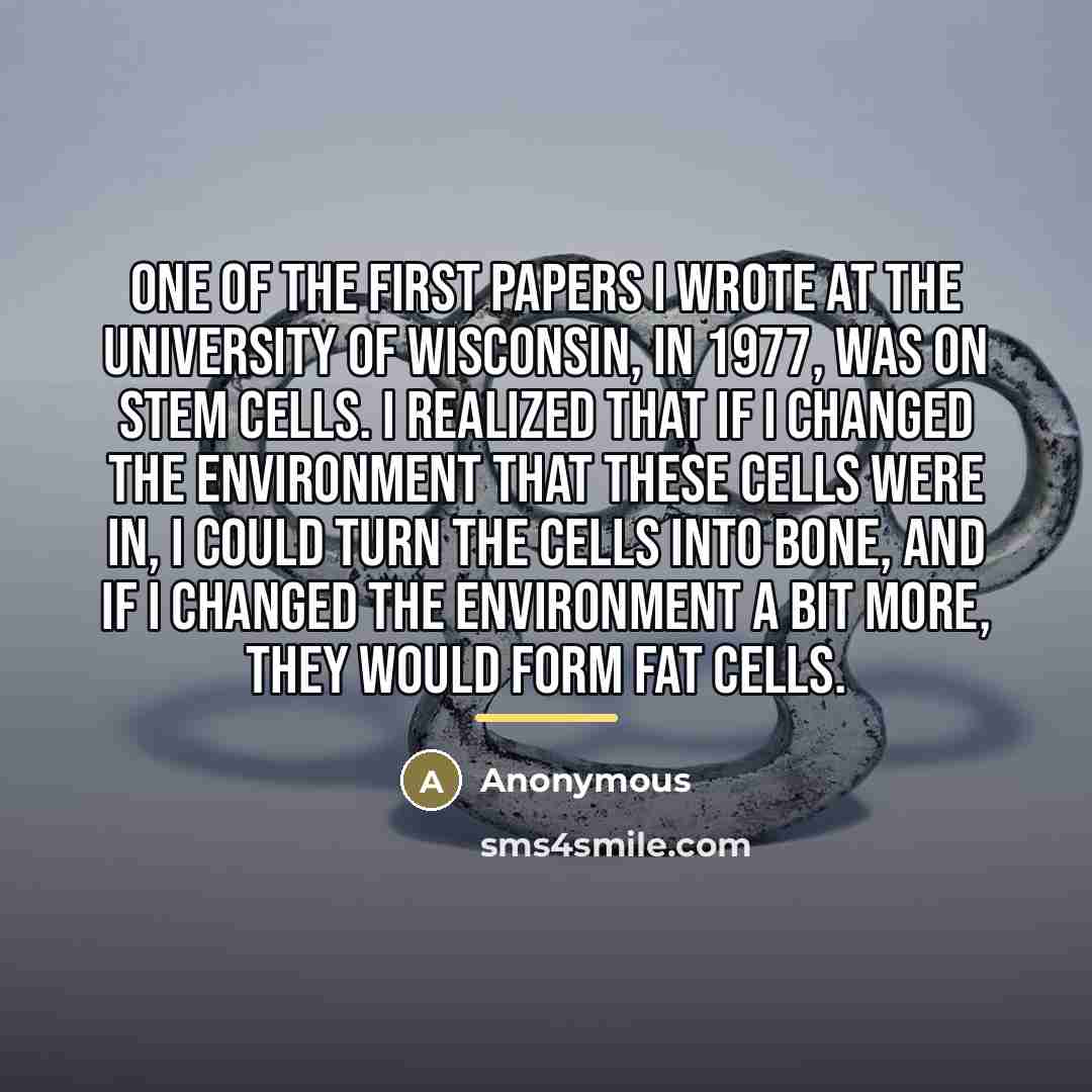 “One of the first papers I wrote at the University…” quote by Anonymous