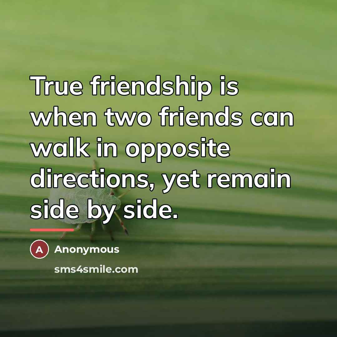 “True friendship is when two friends can walk in opposite…” quote by Josh Grayson
