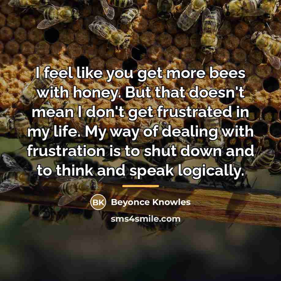 “I feel like you get more bees with honey. But…” quote by Beyonce Knowles