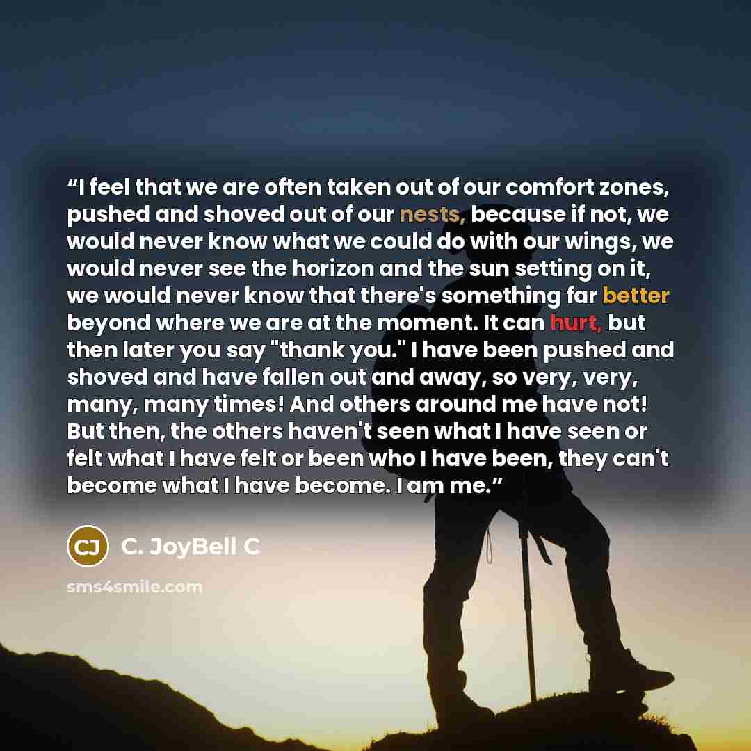 “I feel that we are often taken out of our comfort zones, pushed and shoved out of our nests, because if not, we would never know what we could do with our wings, we would never see the horizon and the sun setting on it, we would never know that there's something far better beyond where we are at…” quote by C. JoyBell C