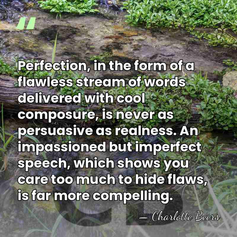 Perfection, in the form of a flawless stream of words delivered with&hellip; - Charlotte Beers