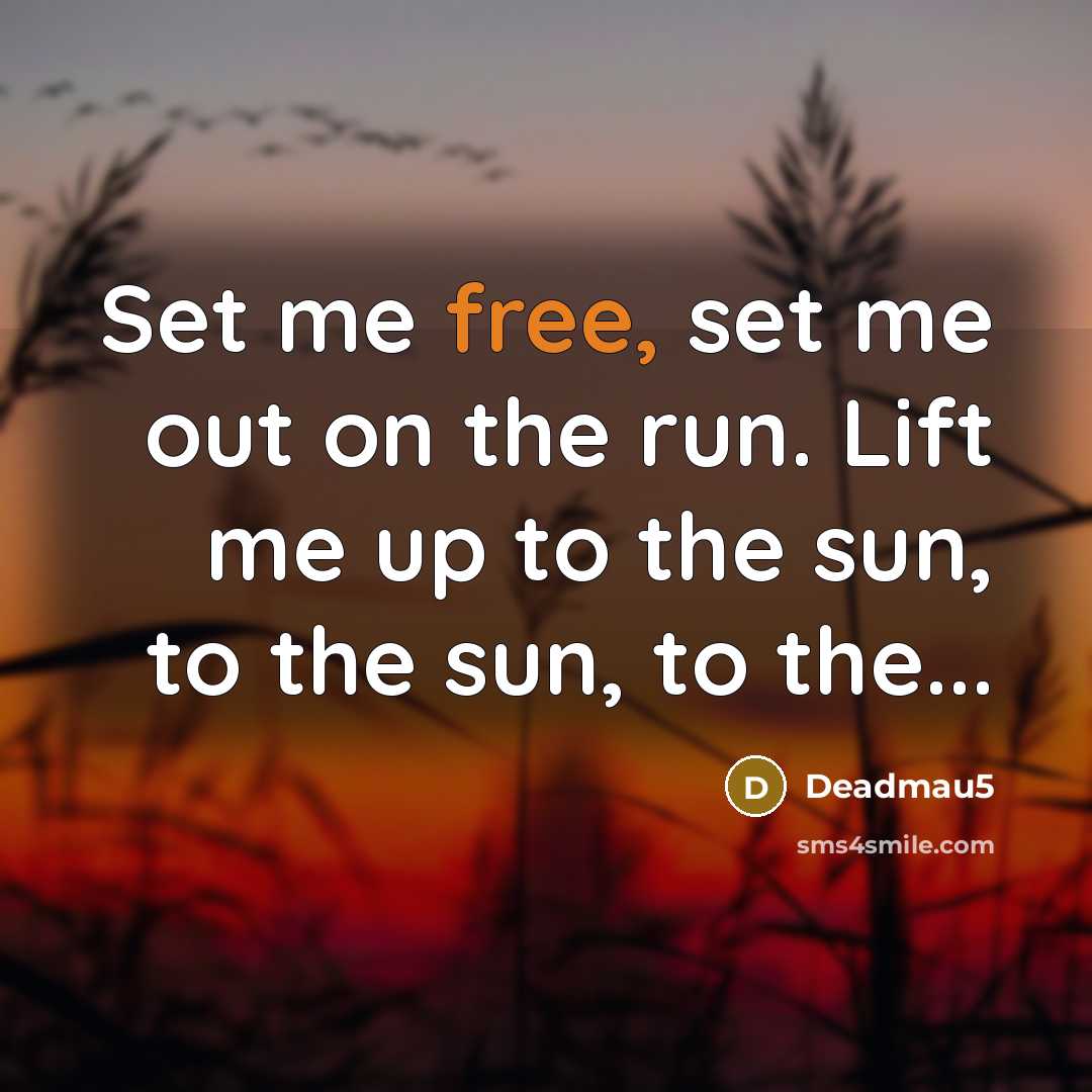 “Set me free, set me out on the run. Lift…” quote by Deadmau5