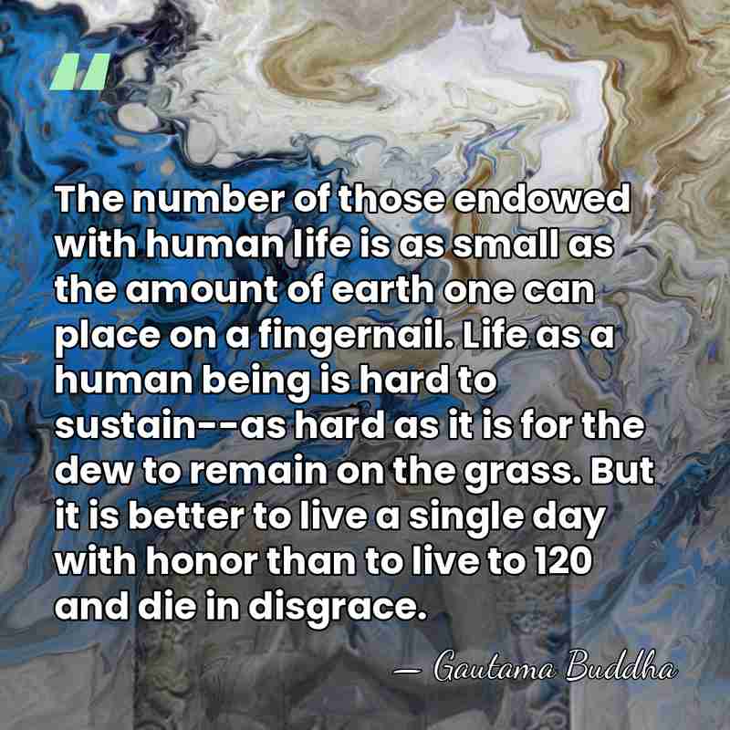 The number of those endowed with human life is as small as&hellip; - Gautama Buddha