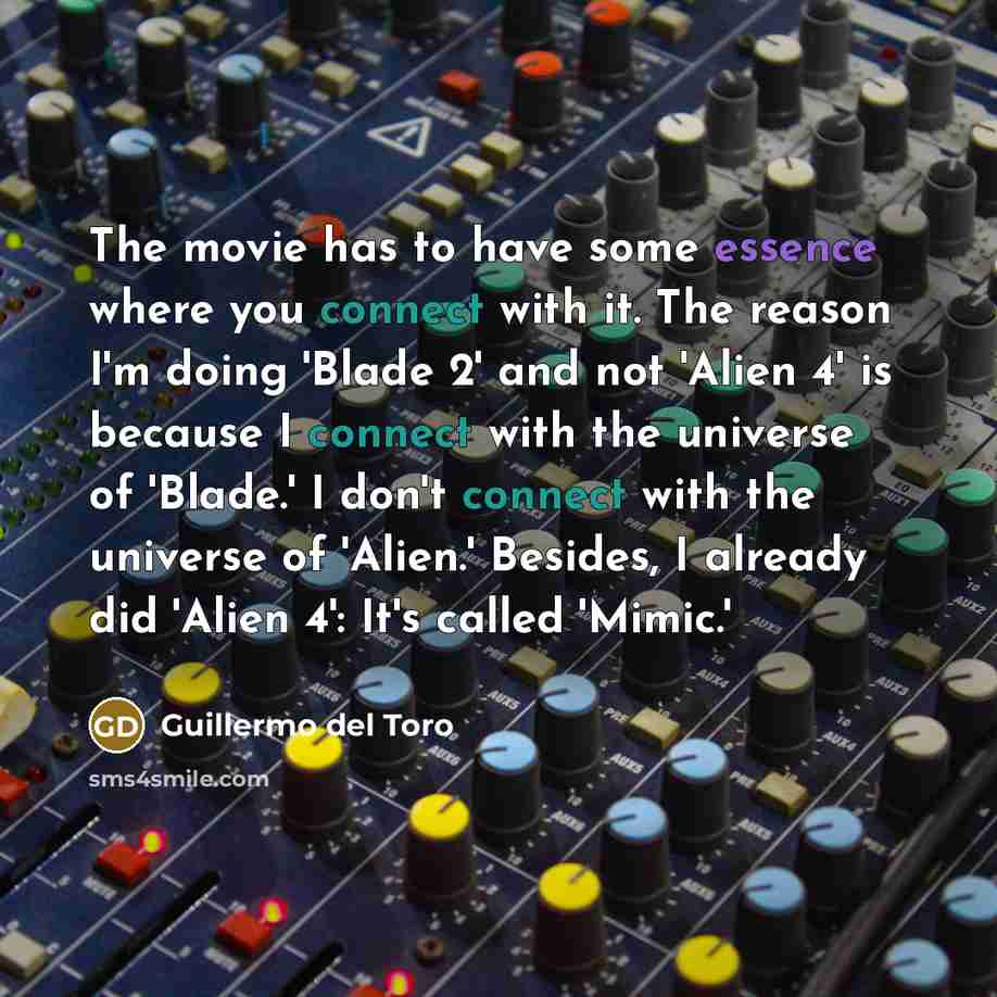“The movie has to have some essence where you connect…” quote by Guillermo del Toro