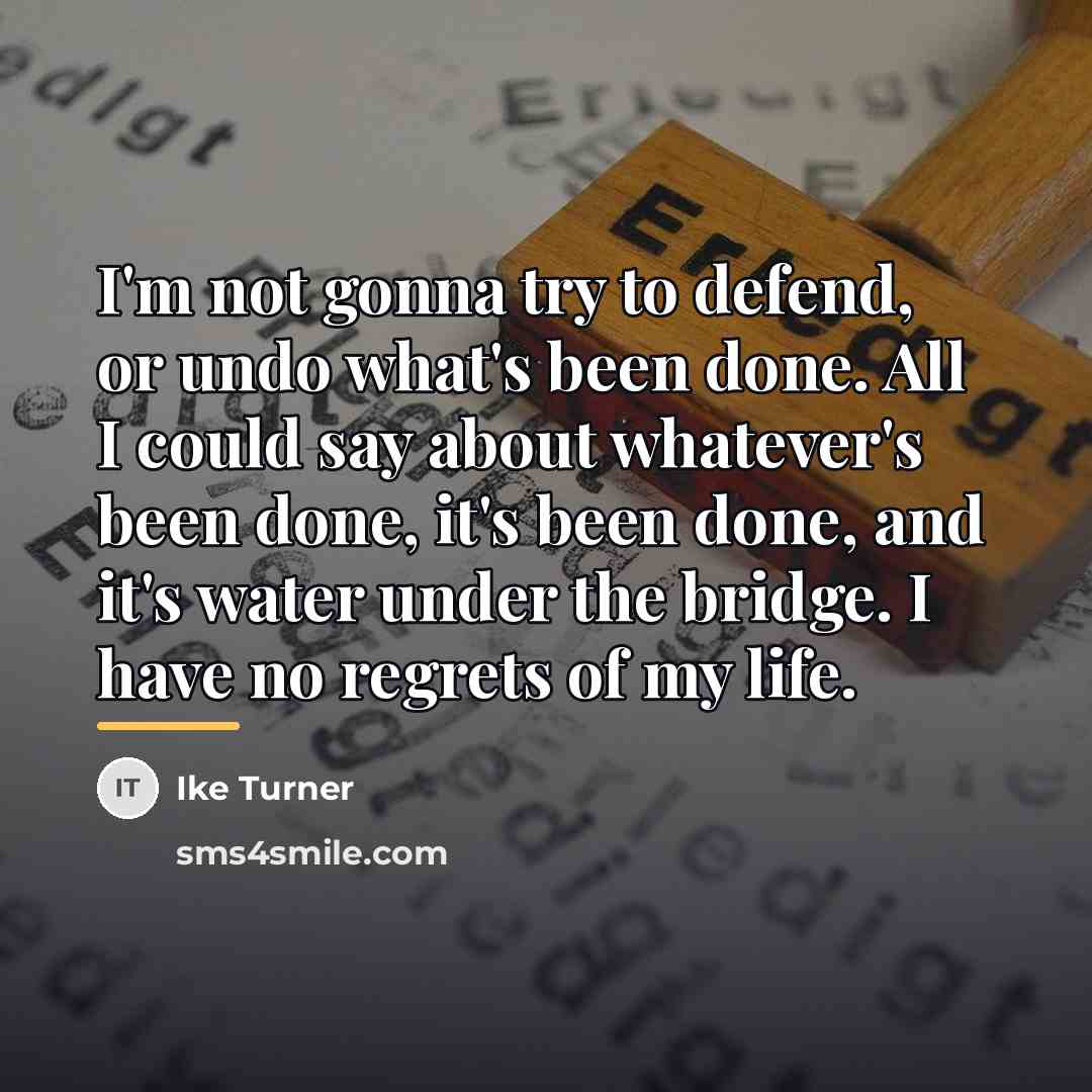“I'm not gonna try to defend, or undo what's been…” quote by Ike Turner
