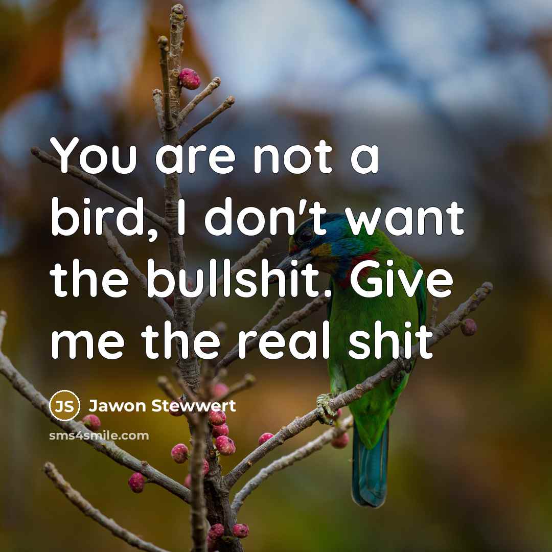 “You are not a bird, I don't want the bullshit.…” quote by Jawon Stewwert