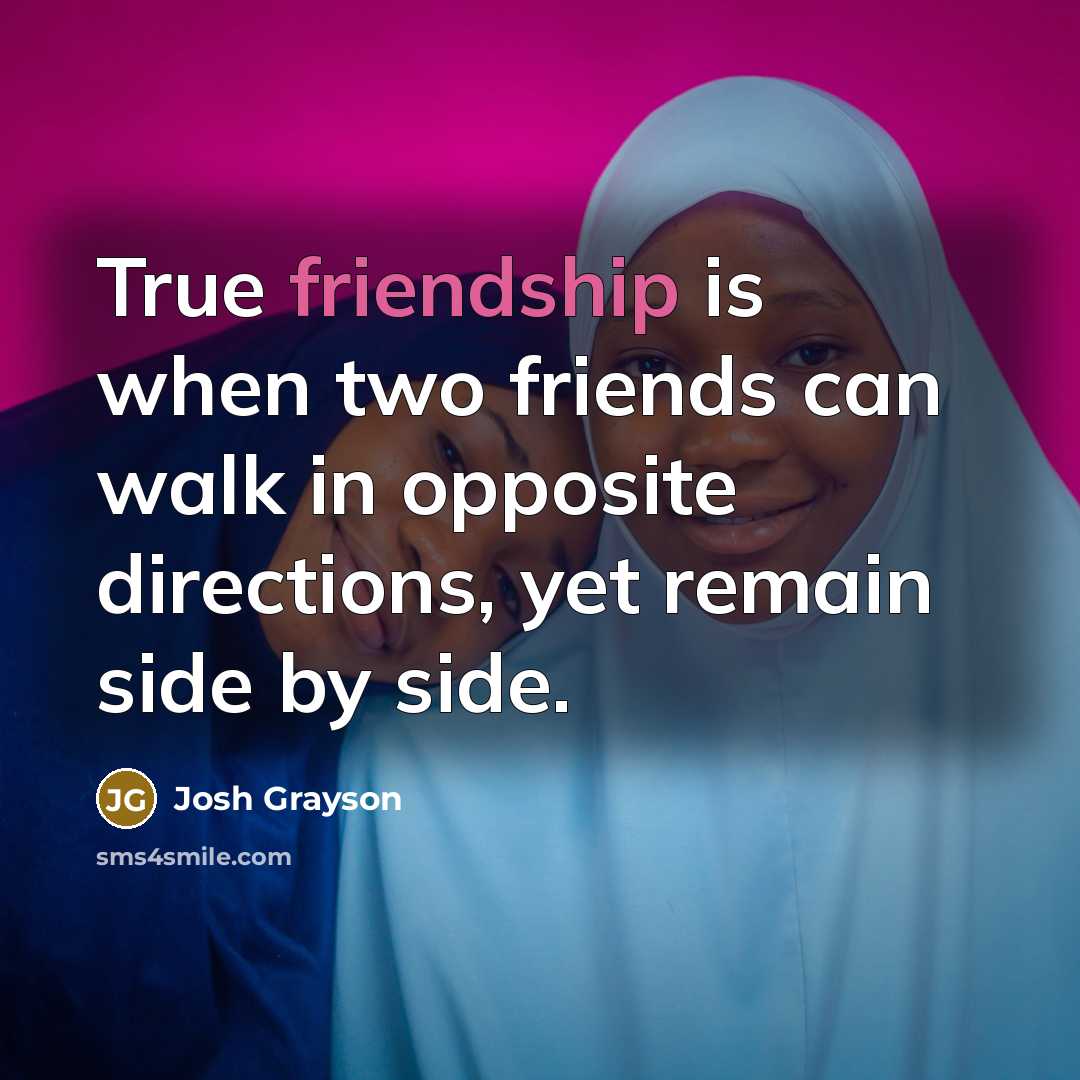 “True friendship is when two friends can walk in opposite directions, yet remain side by side.” quote by Josh Grayson