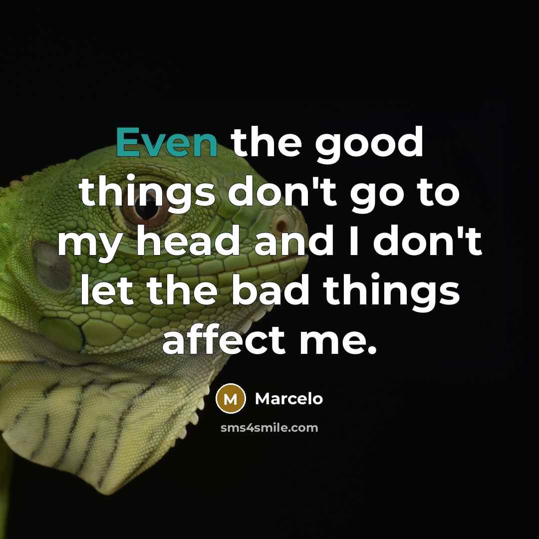 “Even the good things don't go to my head and…” quote by Marcelo