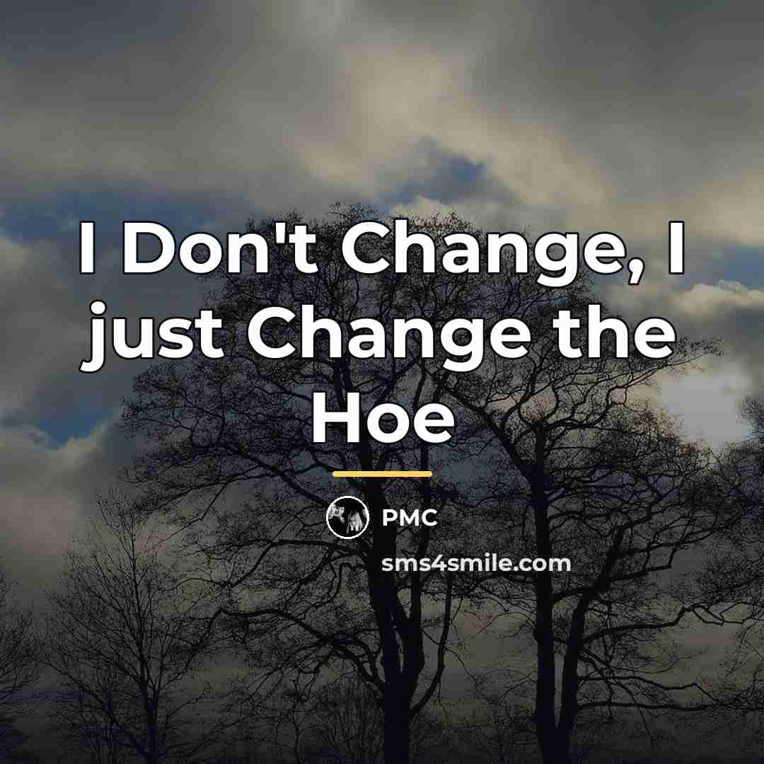 “I Don't Change, I just Change the Hoe…” quote by PMC