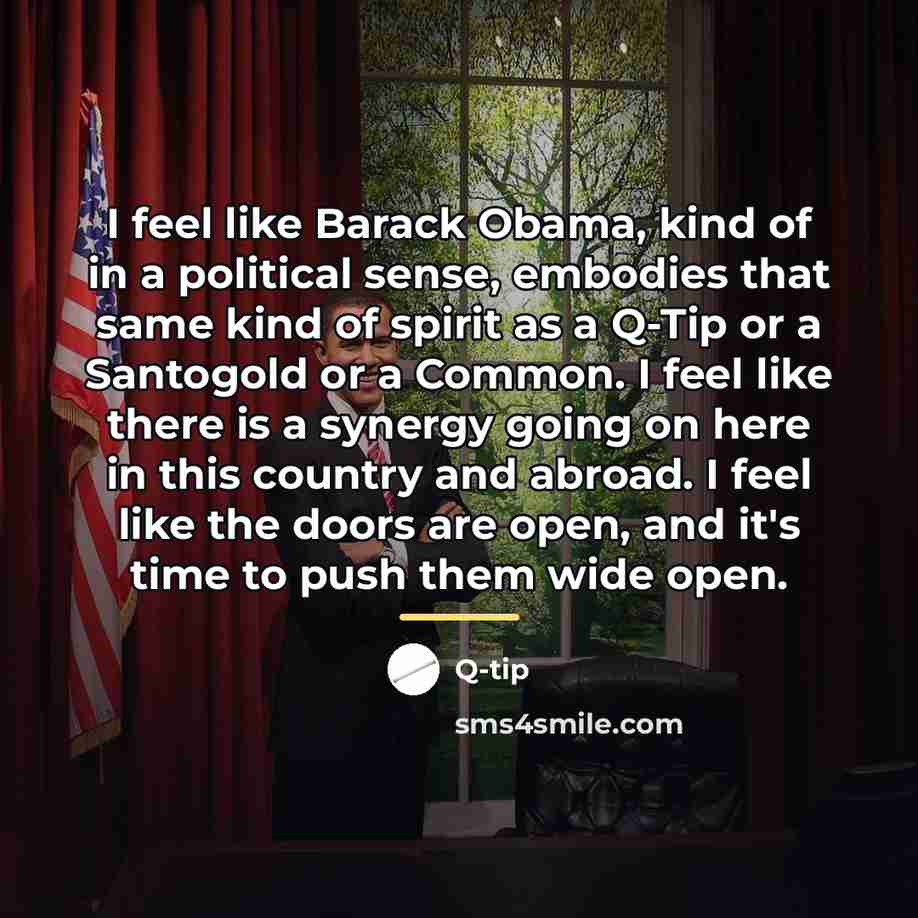 “I feel like Barack Obama, kind of in a political…” quote by Q-Tip