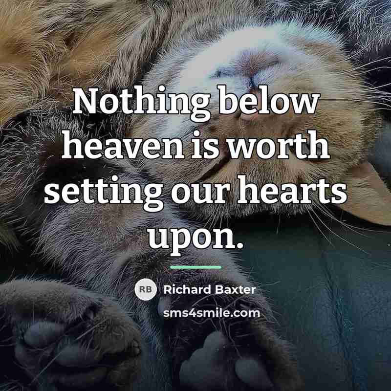 “Nothing below heaven is worth setting our hearts upon.…” quote by Richard Baxter