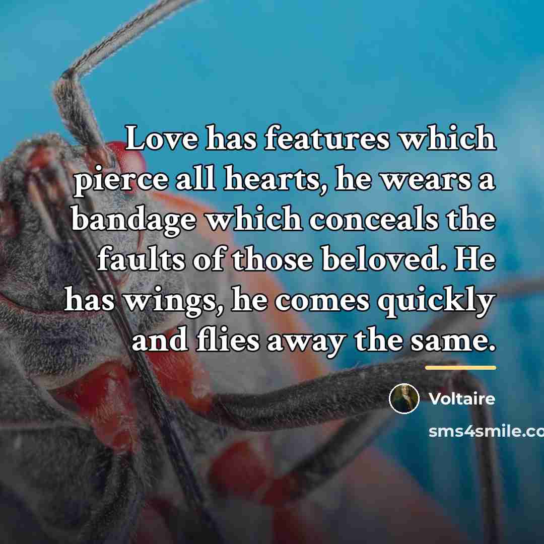 “Love has features which pierce all hearts, he wears a…” quote by Voltaire
