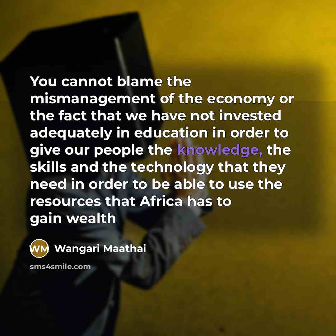 “You cannot blame the mismanagement of the economy or the…” quote by Wangari Maathai