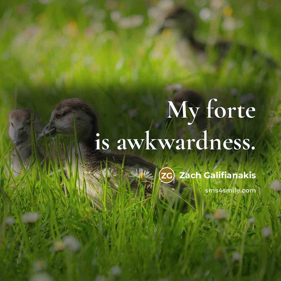 “My forte is awkwardness.…” quote by Zach Galifianakis
