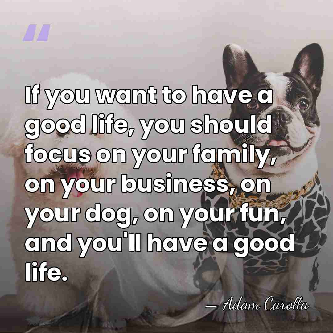 If you want to have a good life, you should focus on&hellip; - Adam Carolla