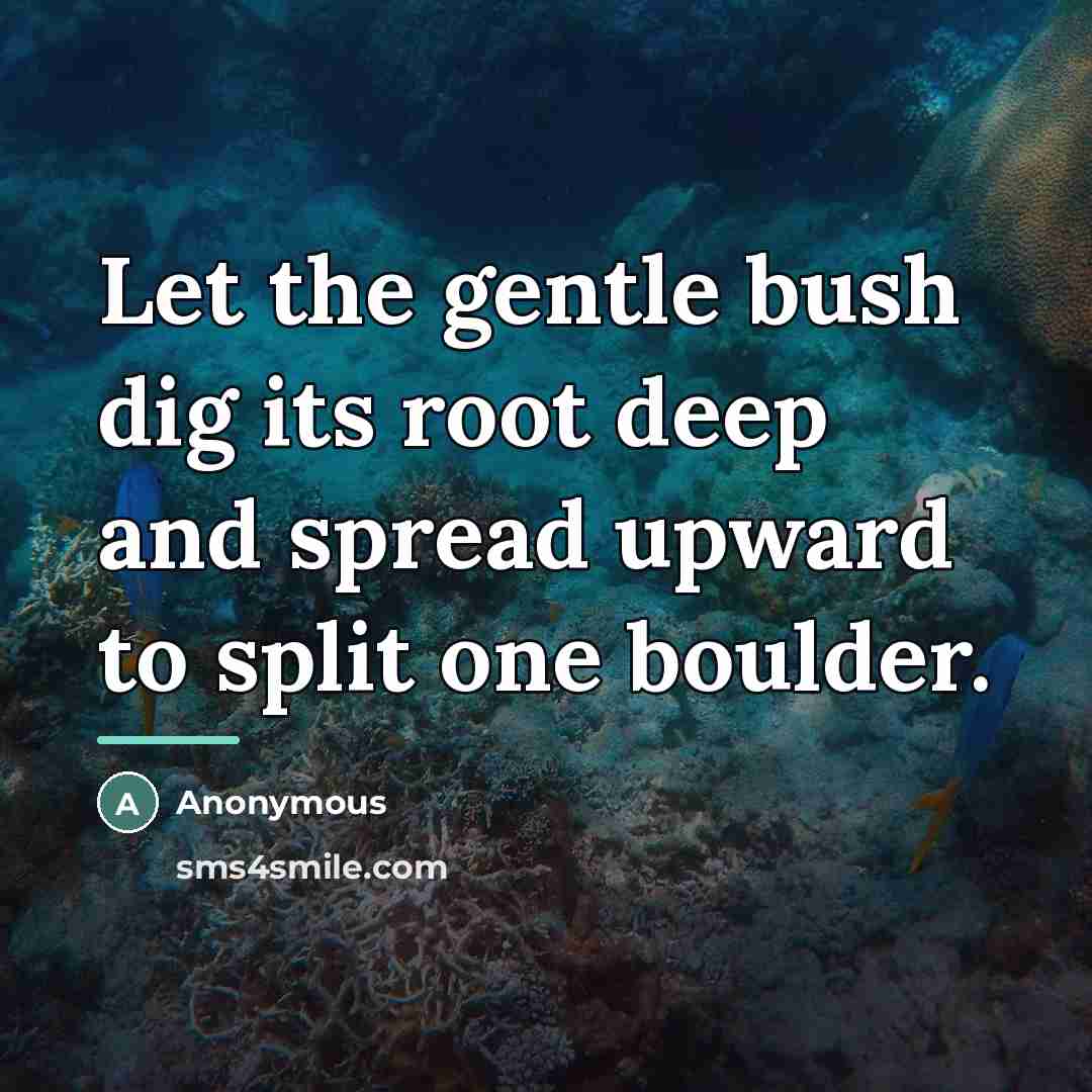 “Let the gentle bush dig its root deep and spread…” quote by Anonymous