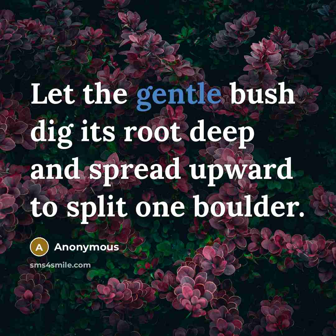 “Let the gentle bush dig its root deep and spread upward to split one boulder.” quote by Anonymous