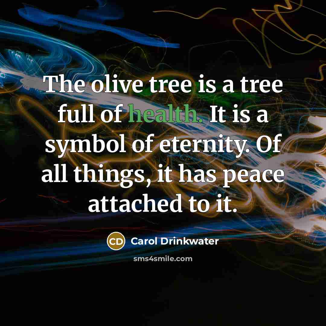 “The olive tree is a tree full of health. It…” quote by Carol Drinkwater