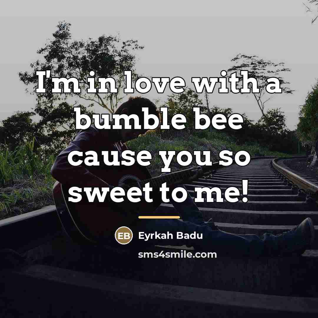 “I'm in love with a bumble bee cause you so…” quote by Eyrkah Badu