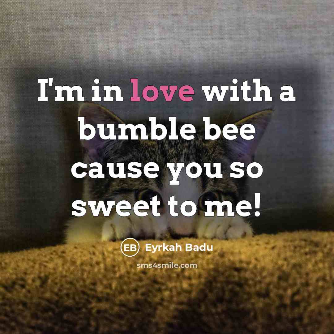 “I'm in love with a bumble bee cause you so sweet to me!” quote by Eyrkah Badu