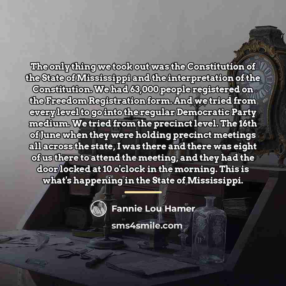 “The only thing we took out was the Constitution of…” quote by Fannie Lou Hamer