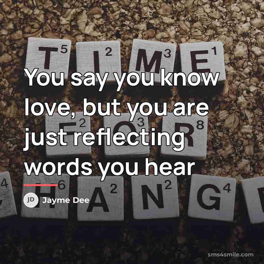 “You say you know love, but you are just reflecting…” quote by Jayme Dee