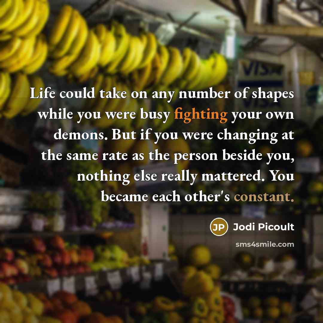 “Life could take on any number of shapes while you…” quote by Jodi Picoult
