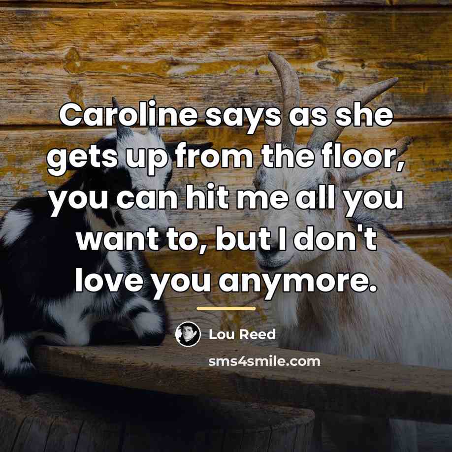 “Caroline says as she gets up from the floor, you…” quote by Lou Reed