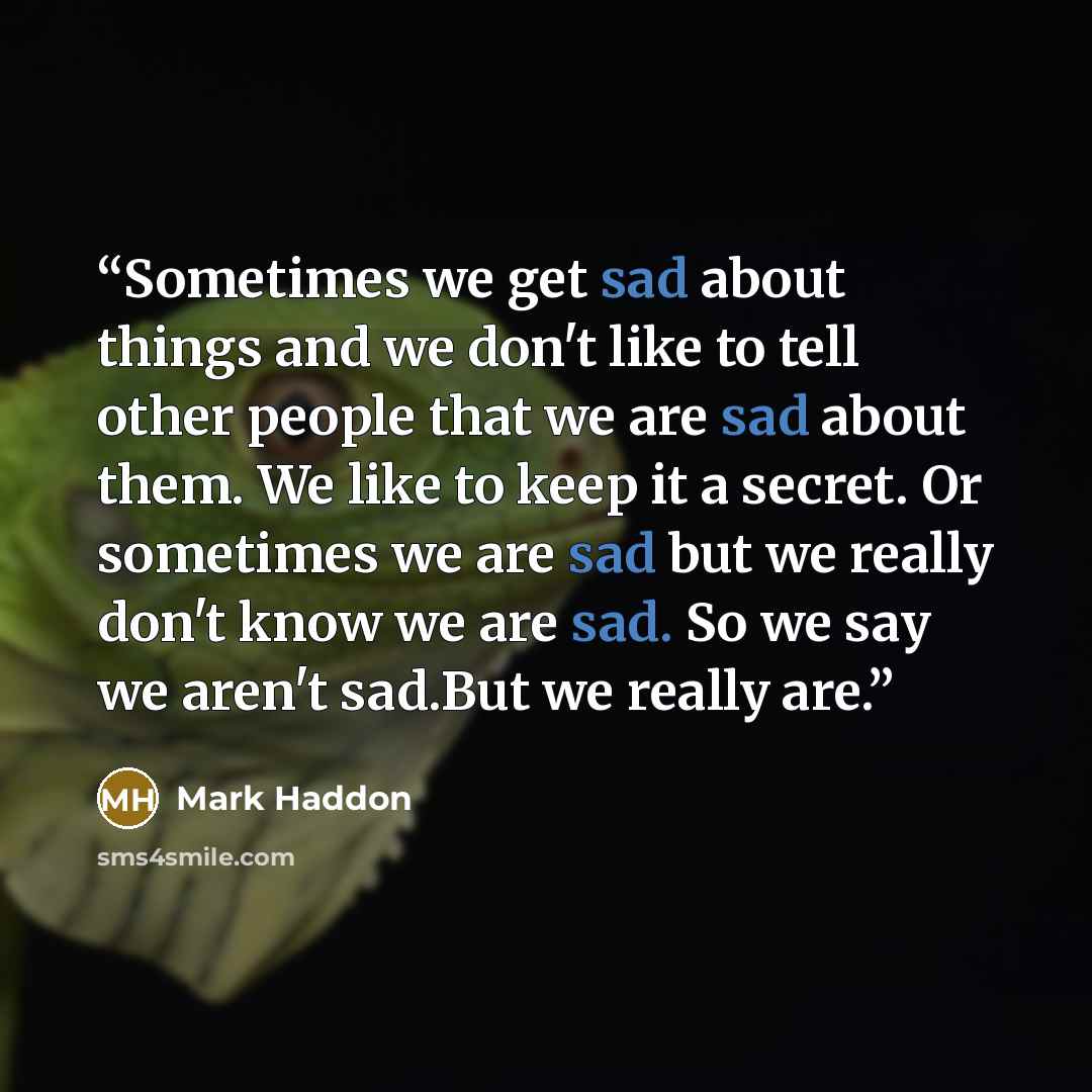 “Sometimes we get sad about things and we don't like to tell other people that we are sad about them. We like to keep it a secret. Or sometimes we are sad but we really don't know we are sad. So we say we aren't sad.But we really are.” quote by Mark Haddon