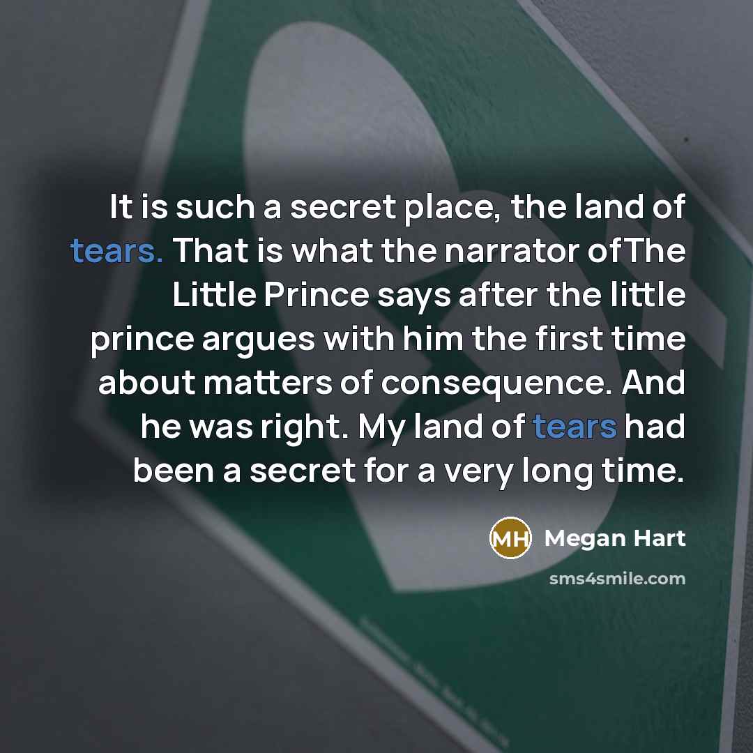 “It is such a secret place, the land of tears.…” quote by Megan Hart